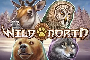 Wild North - Free social slot demo